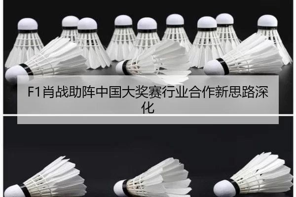 F1肖战助阵中国大奖赛行业合作新思路深化
